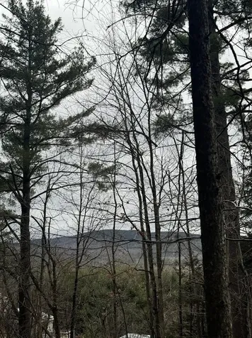 00 Bradley Hill Road Benton NH 03785