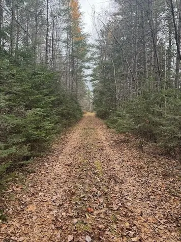 00 Bradley Hill Road Benton NH 03785