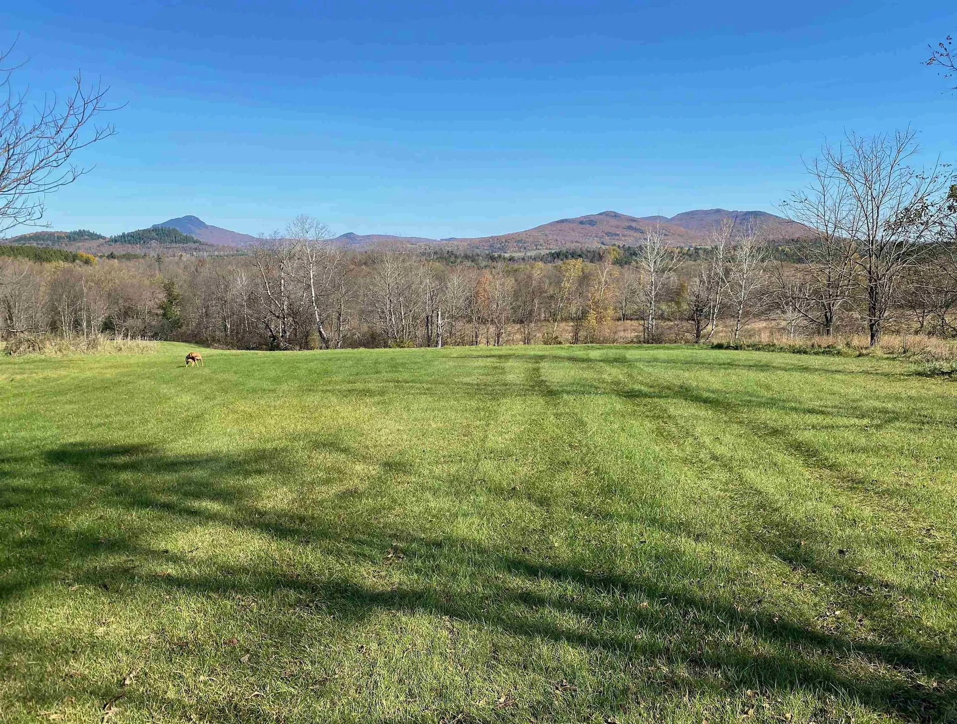 435 Dominion Avenue Troy VT 05859