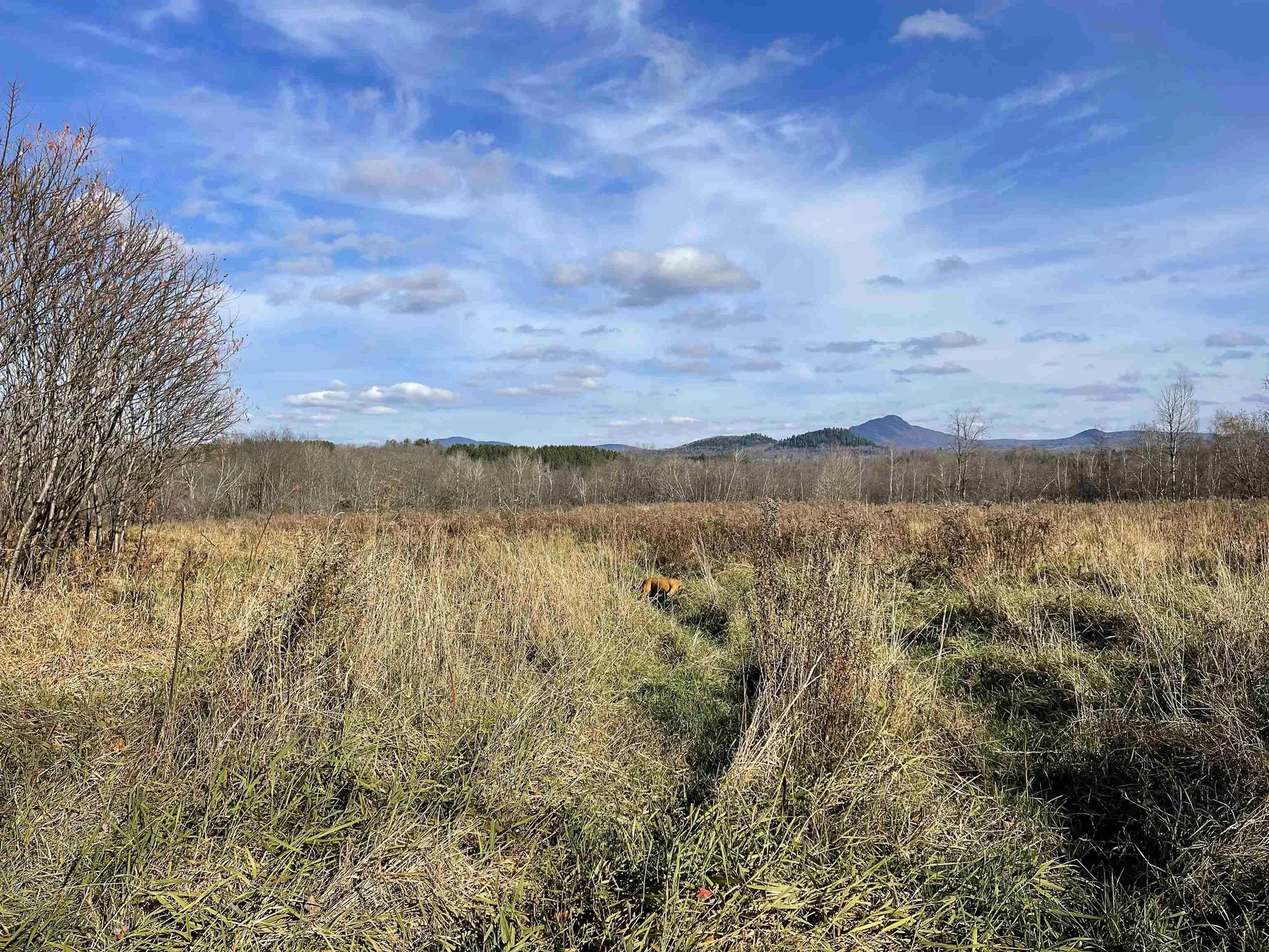 435 Dominion Avenue Troy VT 05859