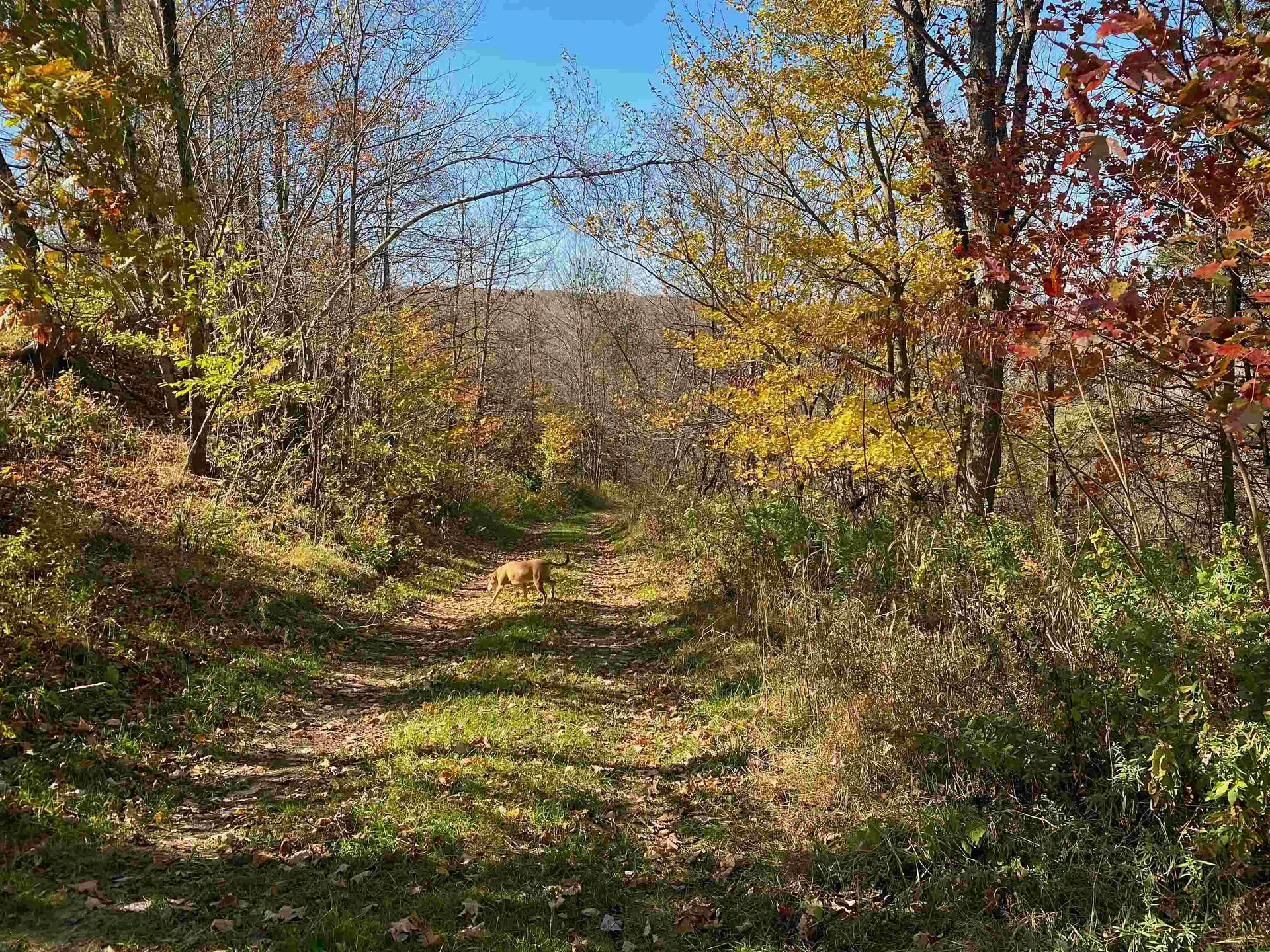 435 Dominion Avenue Troy VT 05859