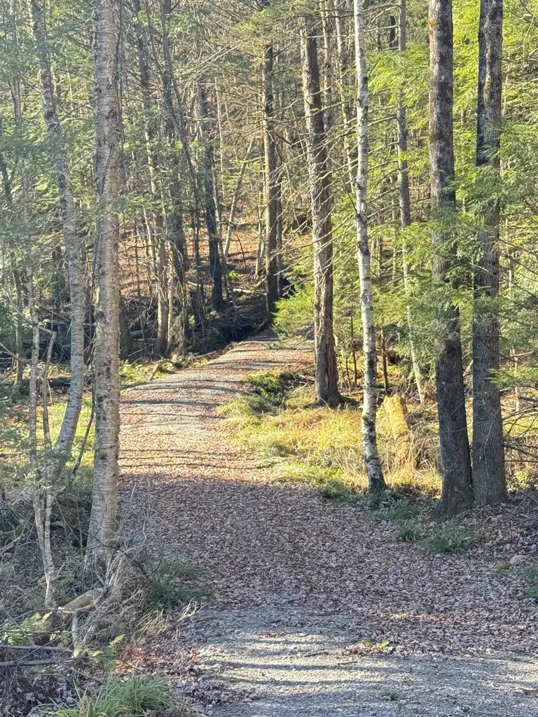276 Red Tree Lane Morristown VT 05661