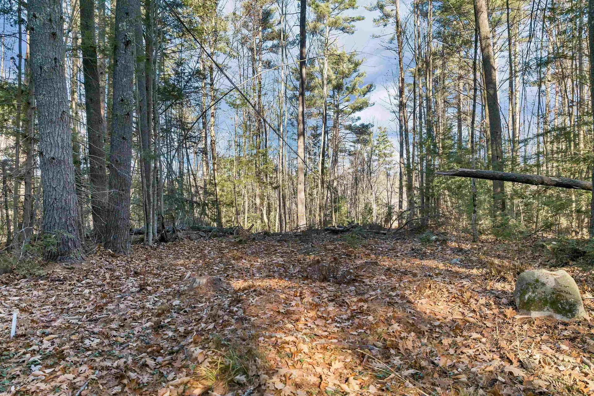 Camp Road Wolfeboro NH 03894