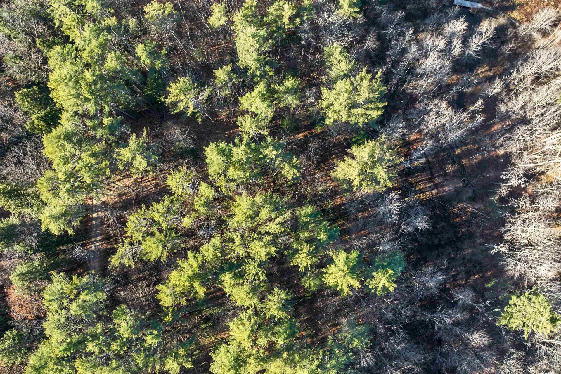 Camp Road Wolfeboro NH 03894