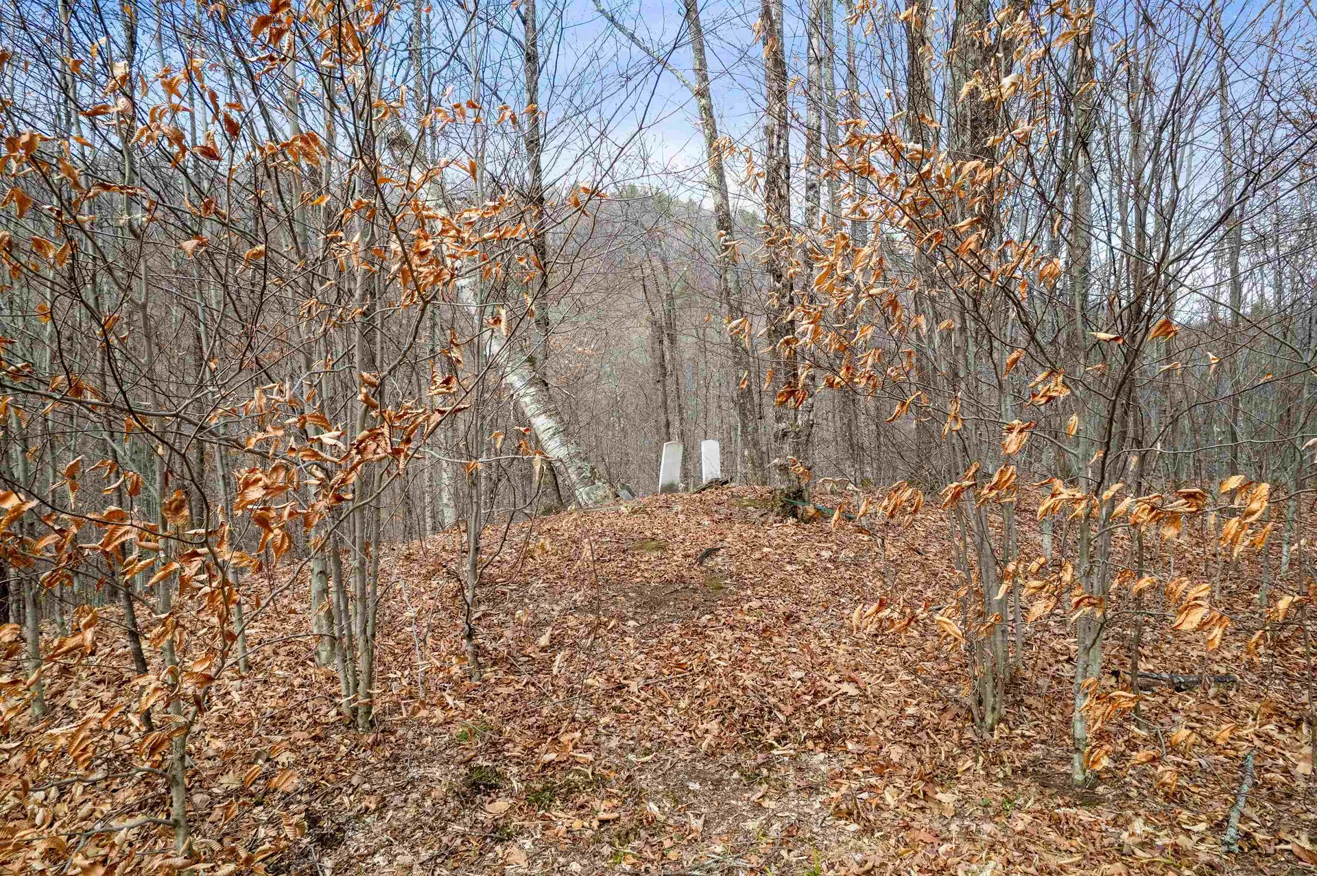 00 Chapel Hill Road Sharon VT 05055