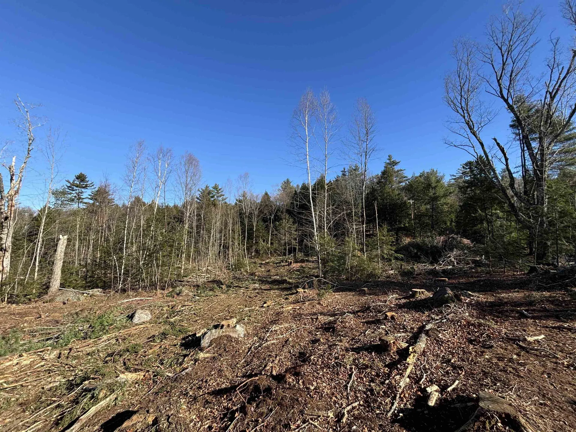 Lot 11-5 Ball Park Road Goshen NH 03752