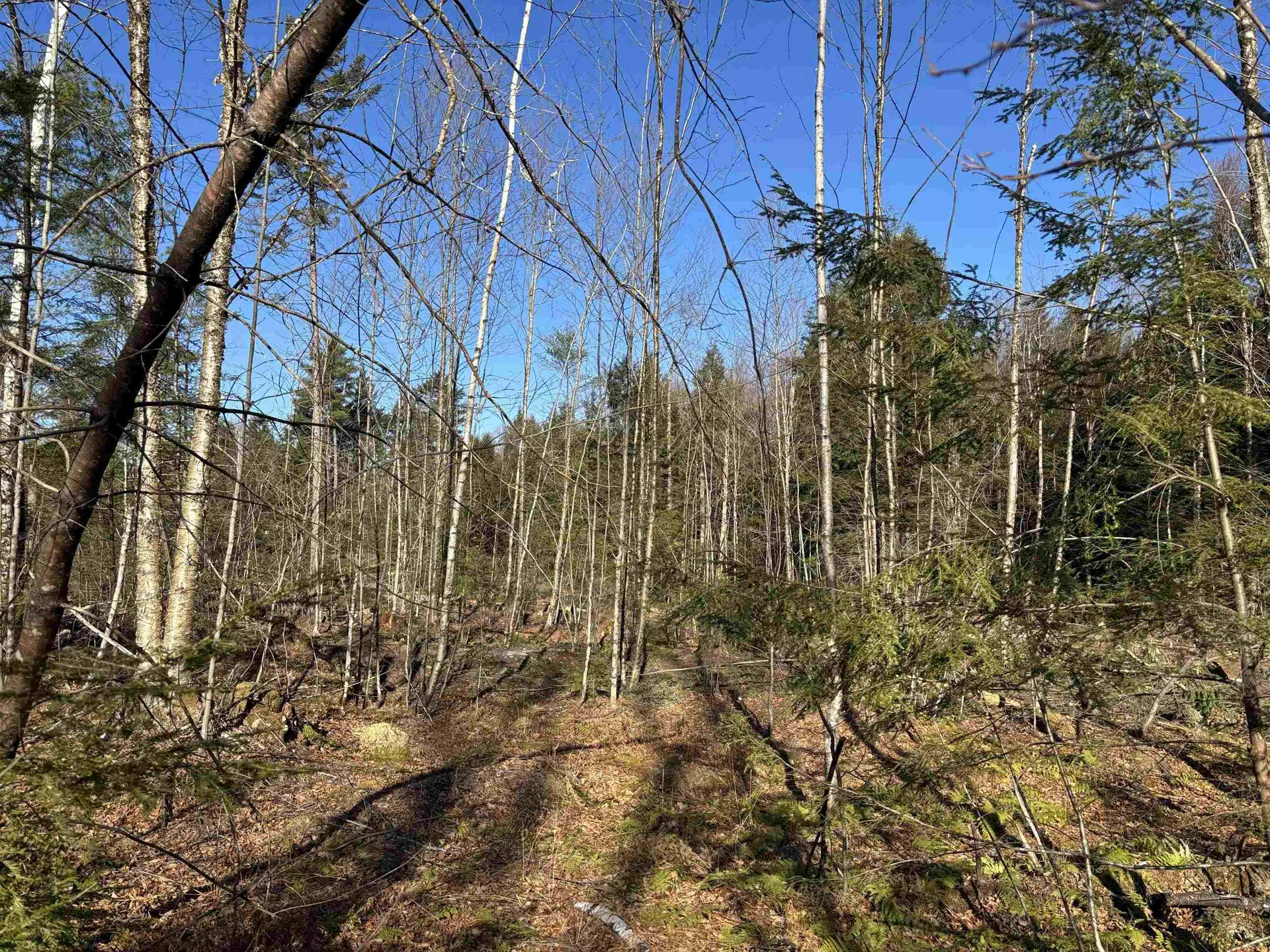 Lot 11-5 Ball Park Road Goshen NH 03752