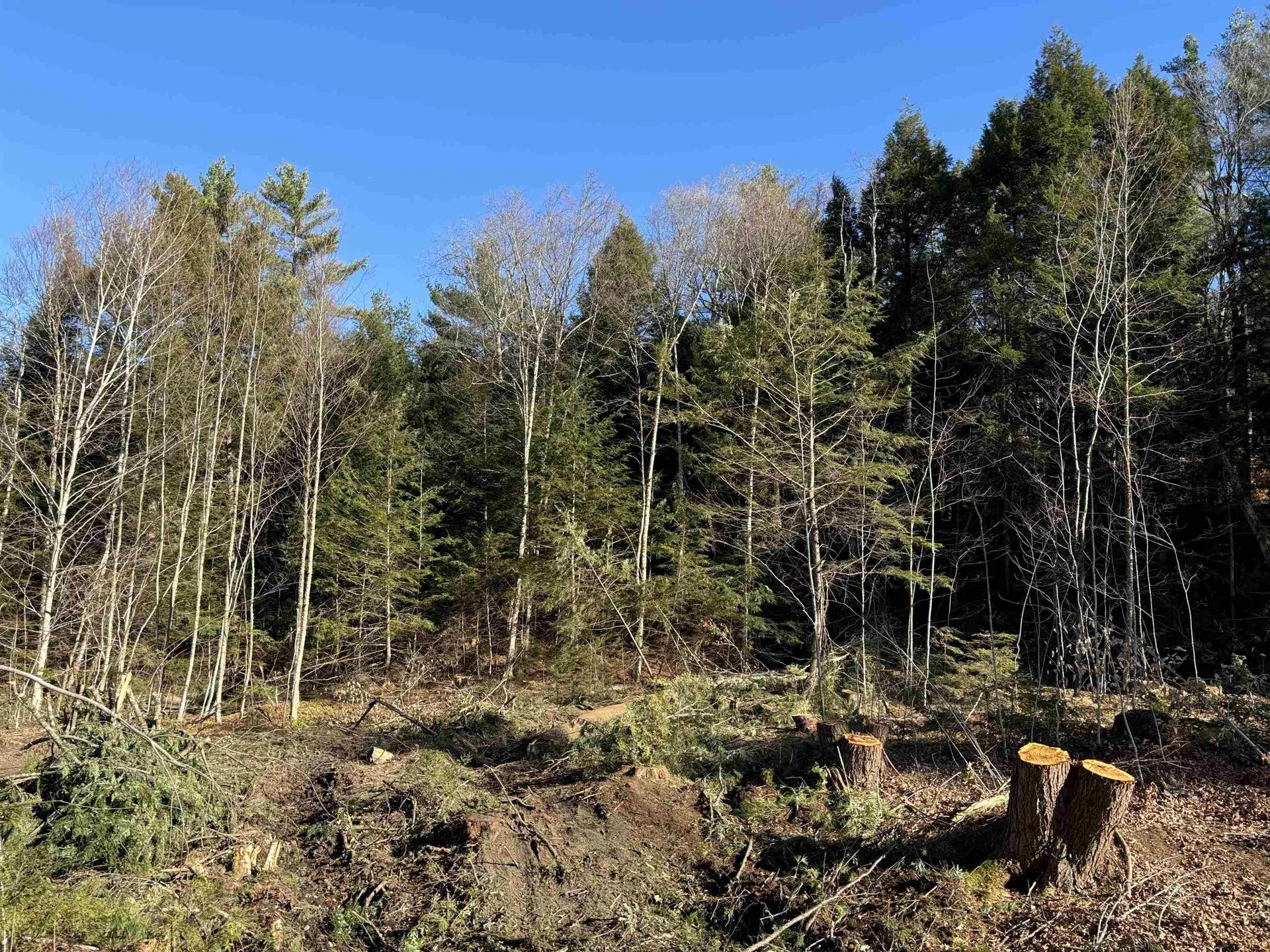 Lot 11-5 Ball Park Road Goshen NH 03752