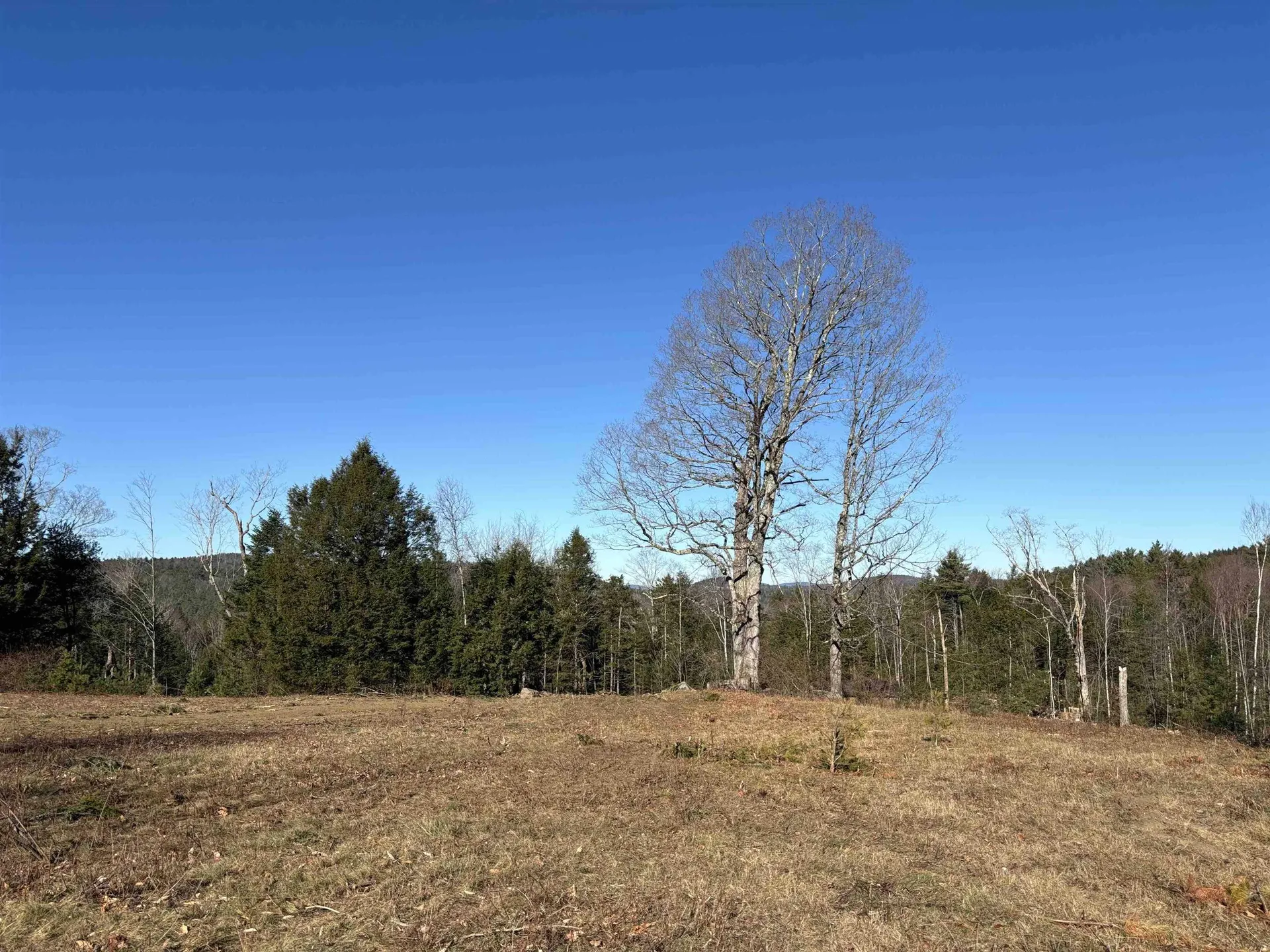 Lot 11-5 Ball Park Road Goshen NH 03752