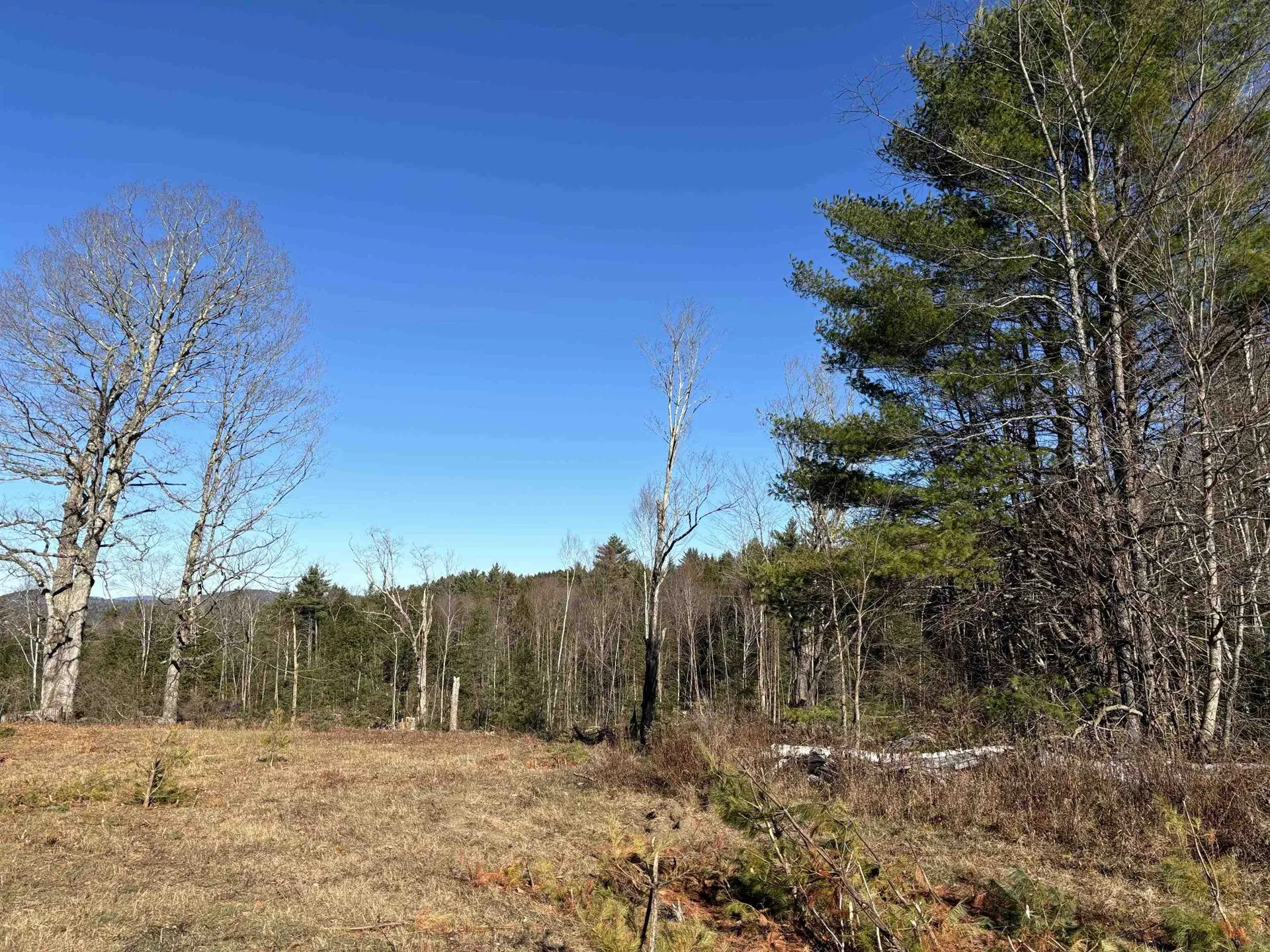 Lot 11-5 Ball Park Road Goshen NH 03752