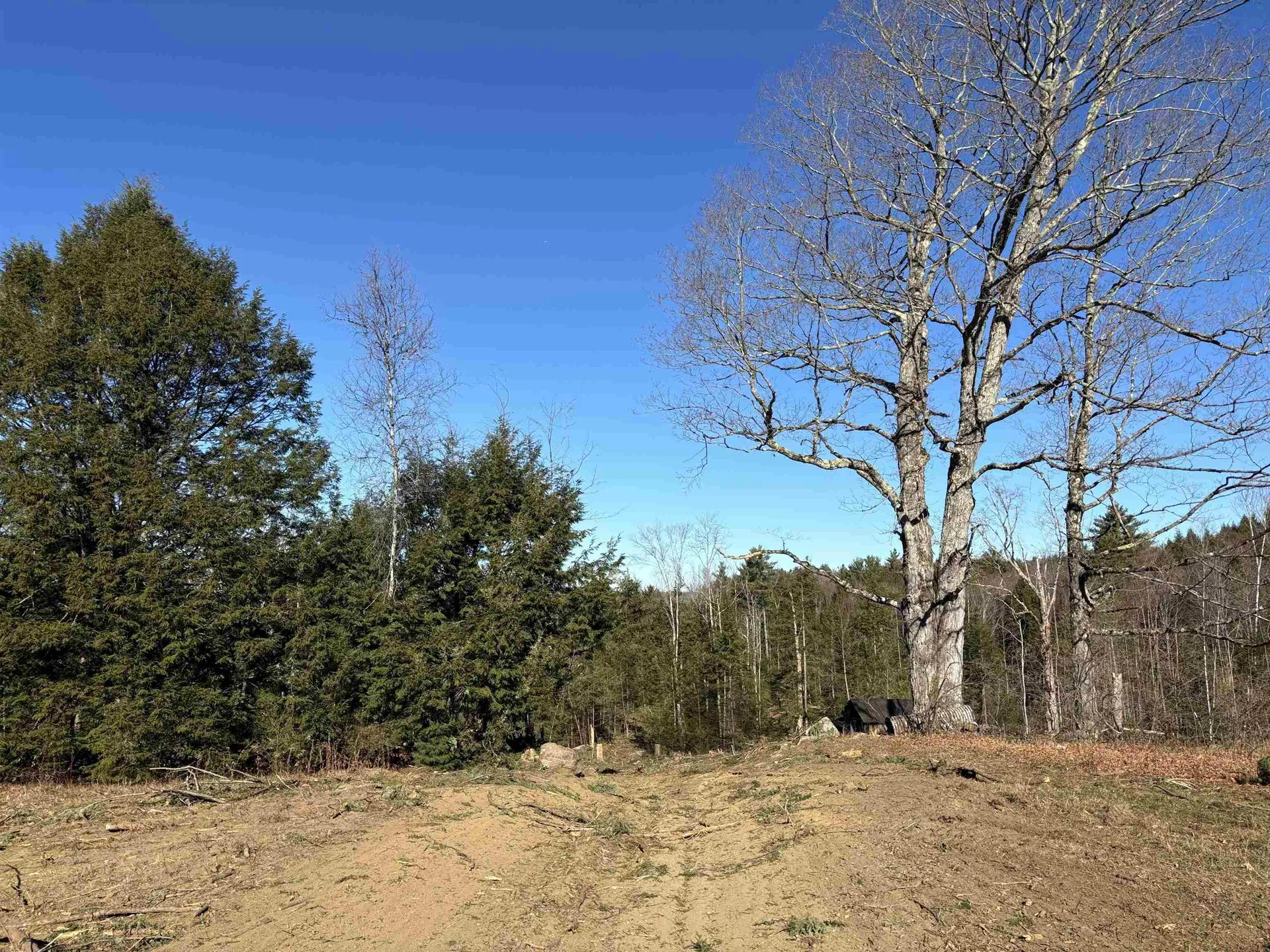 Lot 11-5 Ball Park Road Goshen NH 03752