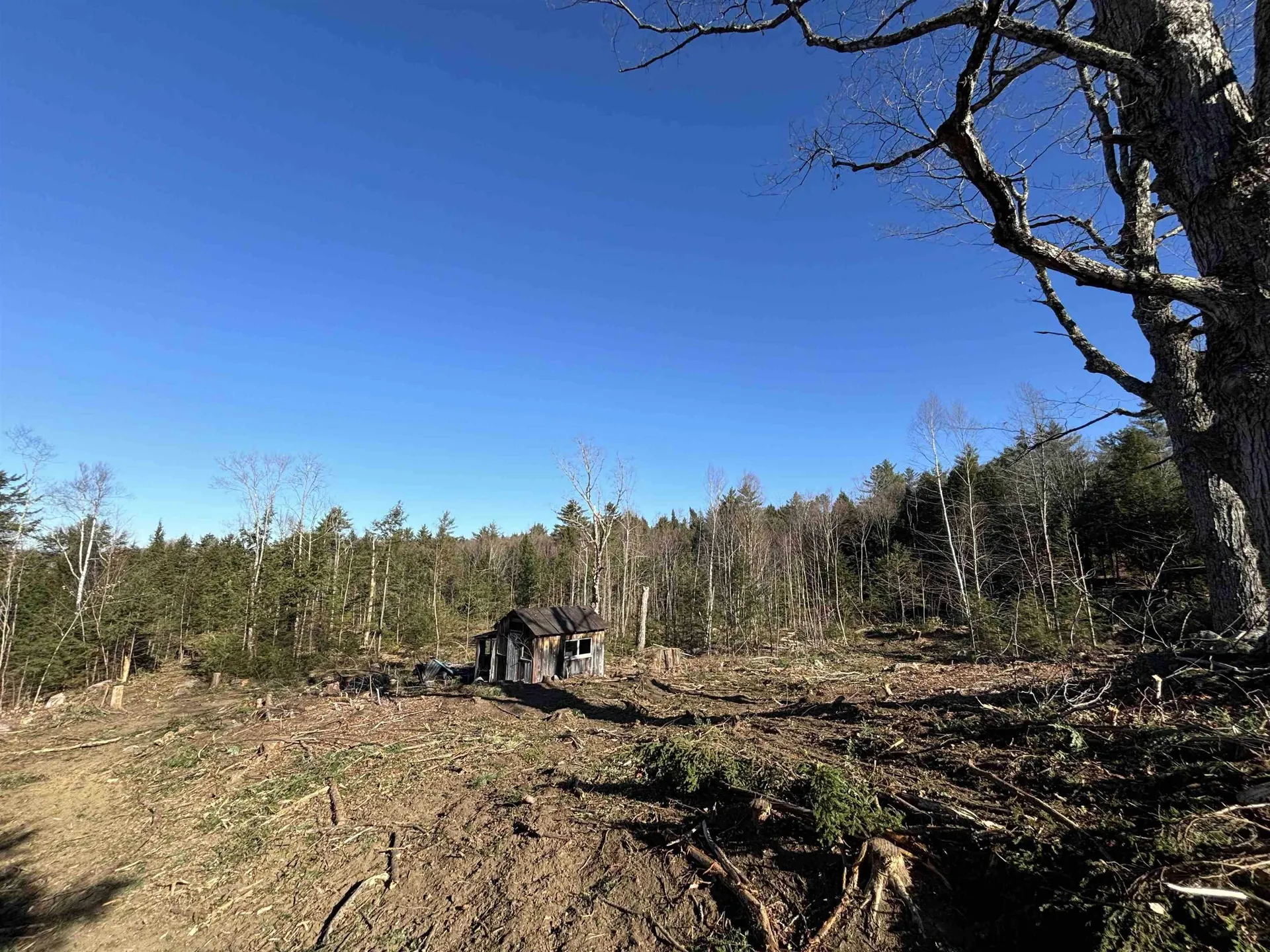 Lot 11-5 Ball Park Road Goshen NH 03752