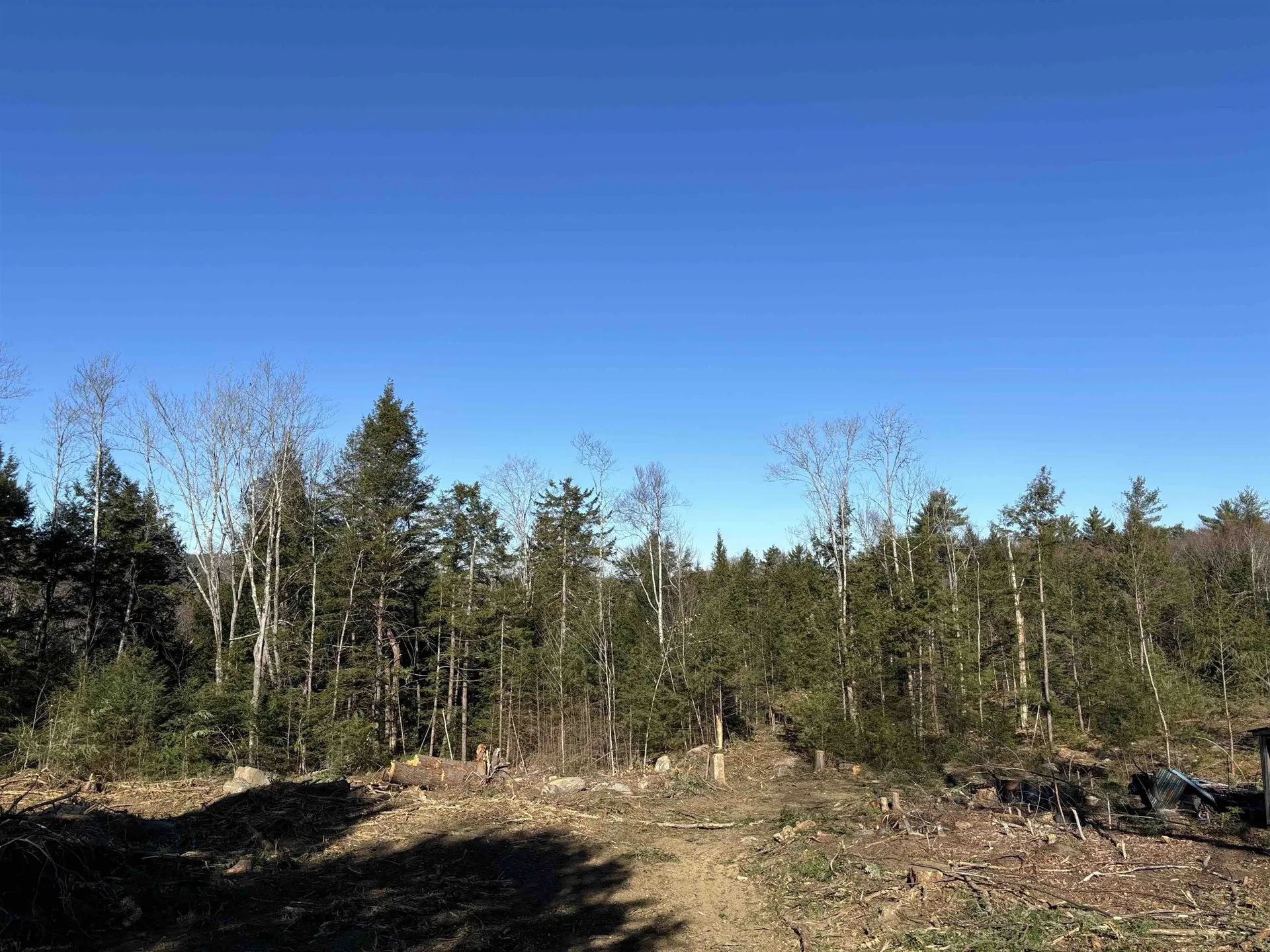Lot 11-5 Ball Park Road Goshen NH 03752