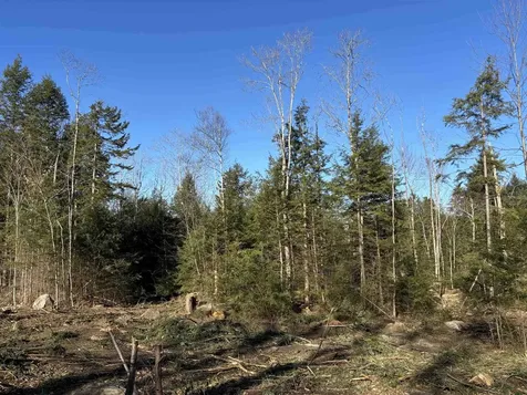 Lot 11-5 Ball Park Road Goshen NH 03752