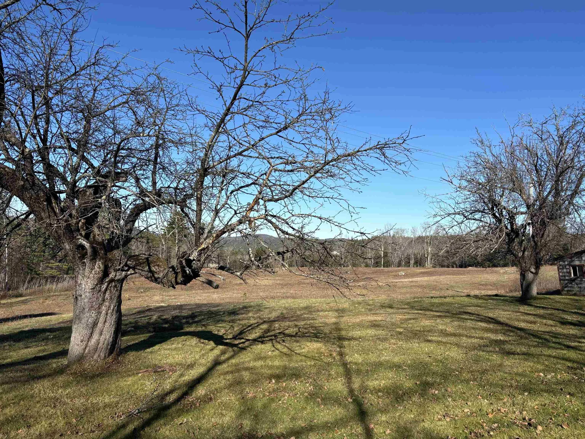 Lot 11-4 Ball Park Road Goshen NH 03752