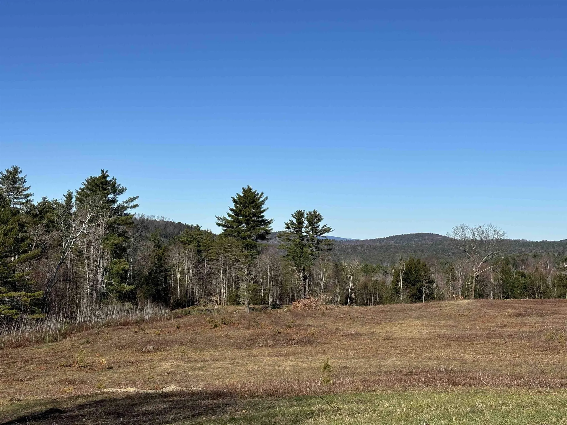 Lot 11-4 Ball Park Road Goshen NH 03752