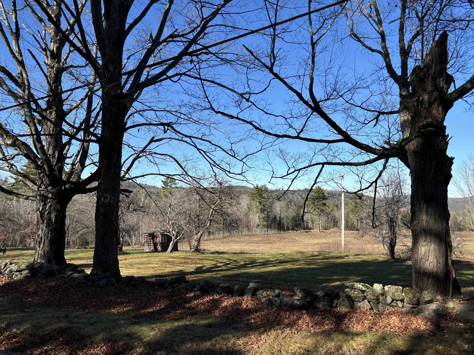 Lot 11-4 Ball Park Road Goshen NH 03752