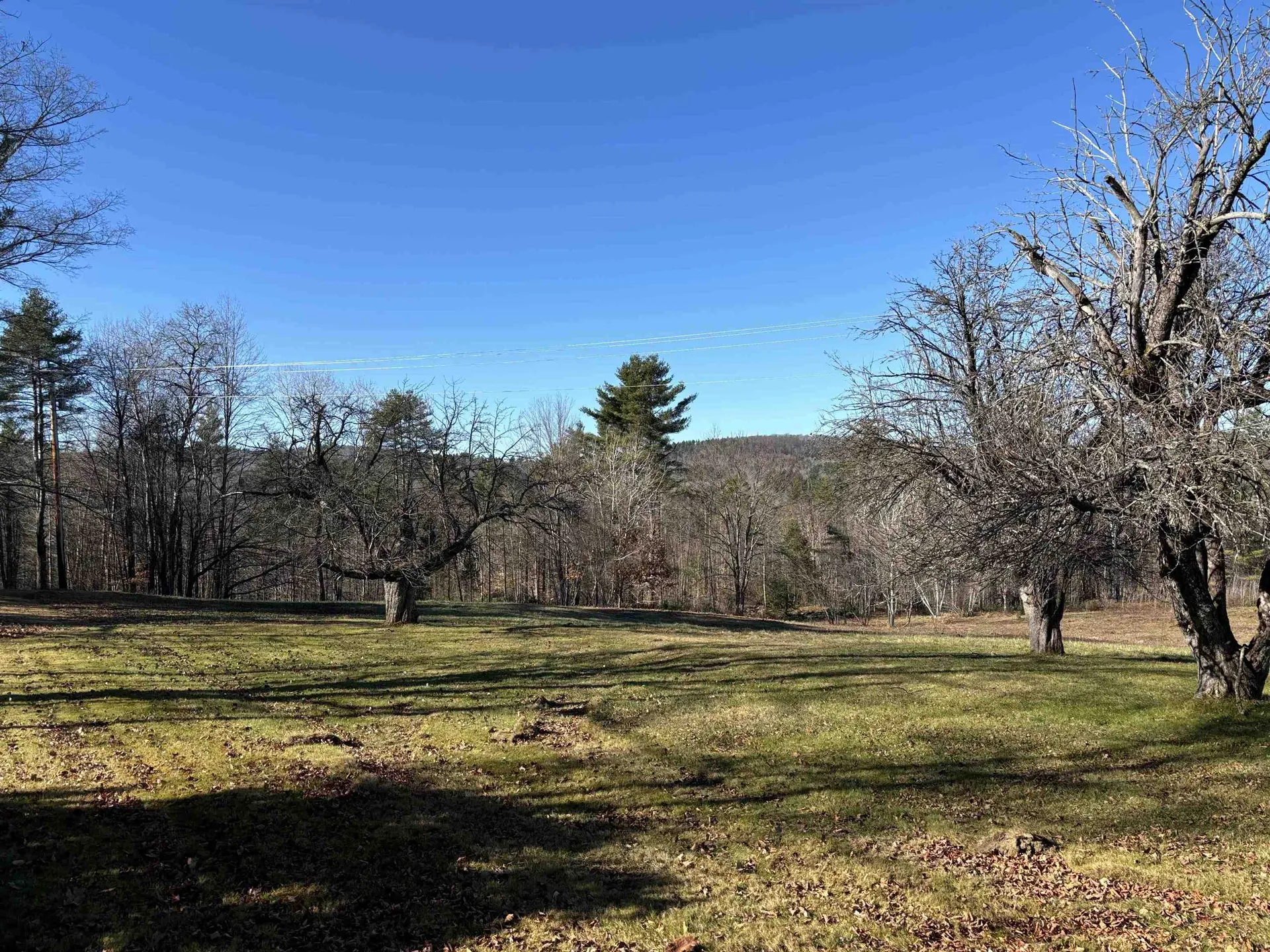 Lot 11-4 Ball Park Road Goshen NH 03752