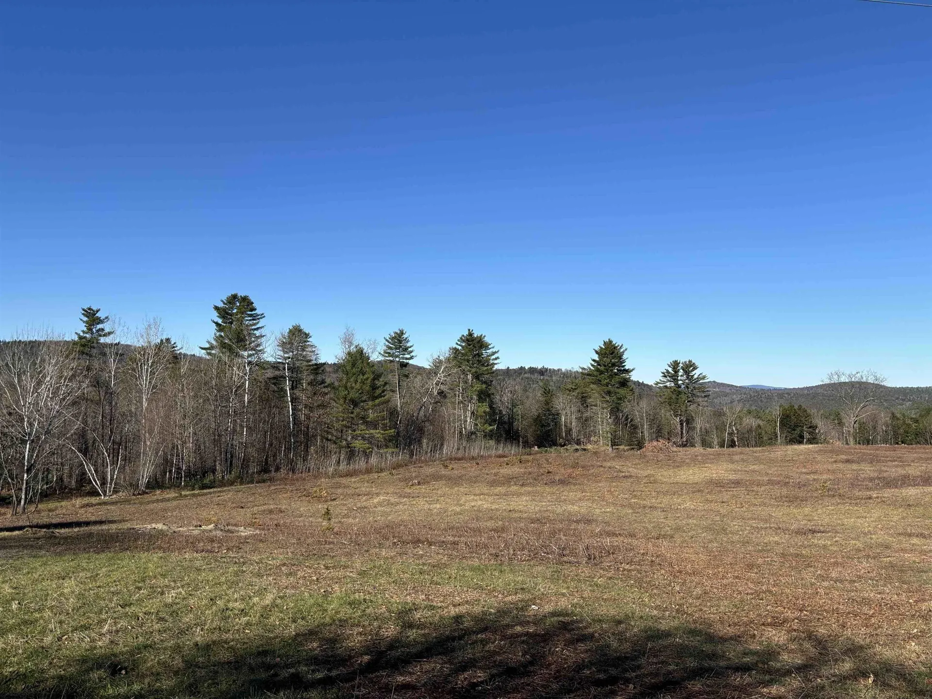 Lot 11-4 Ball Park Road Goshen NH 03752