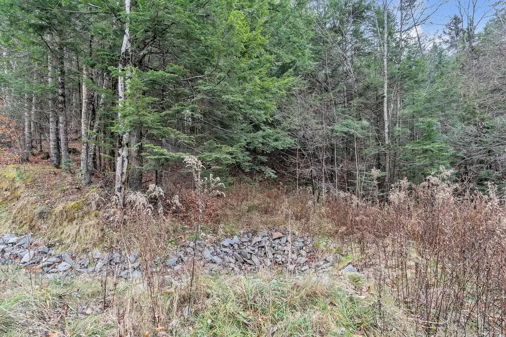 0 Marshfield Road Calais VT 05667