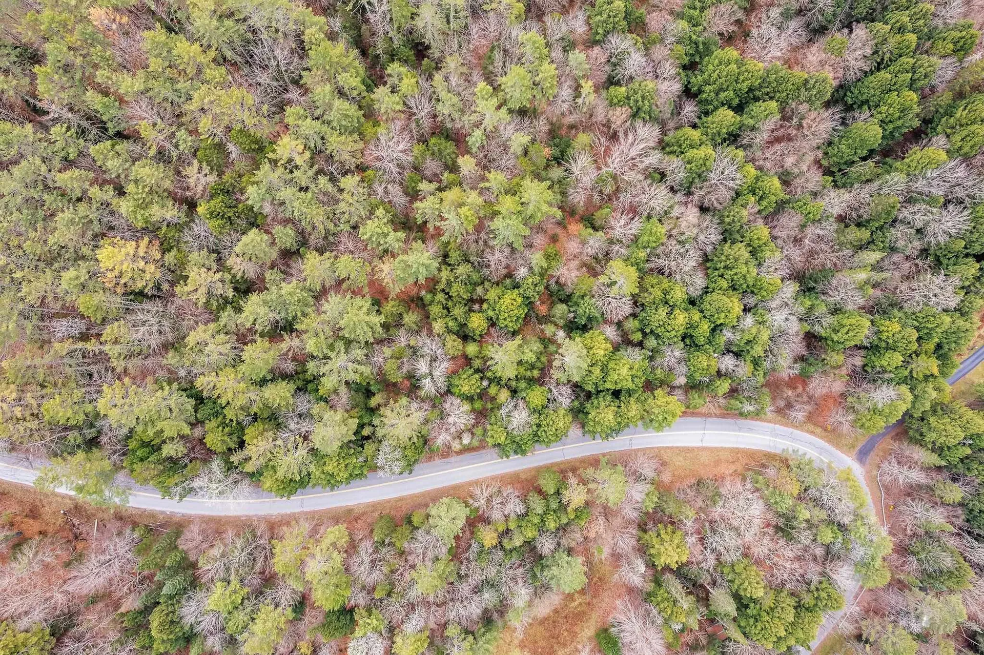 0 Marshfield Road Calais VT 05667