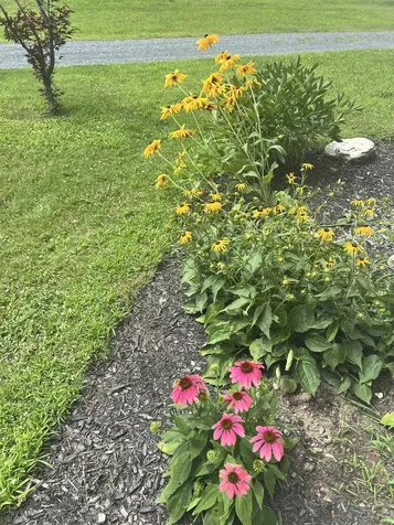 1613 West Woodstock Road Woodstock VT 05091