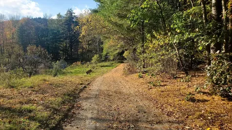 100 Basin Road Vernon VT 05354