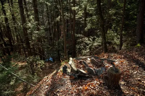 100 Basin Road Vernon VT 05354