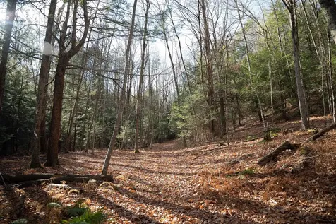 100 Basin Road Vernon VT 05354