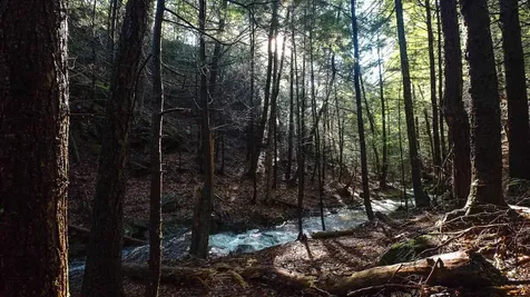 100 Basin Road Vernon VT 05354