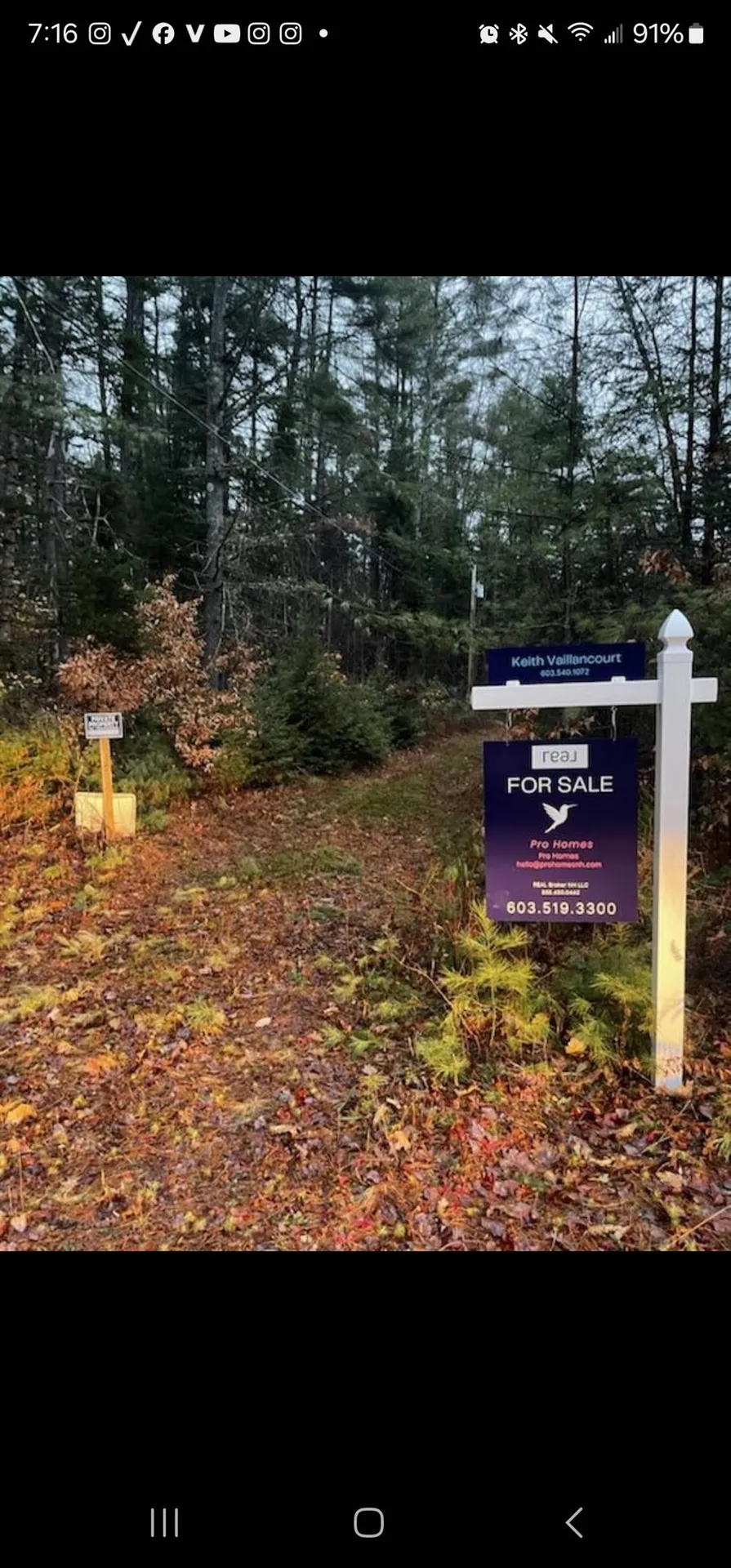 77 Spa Road Danbury NH 03230