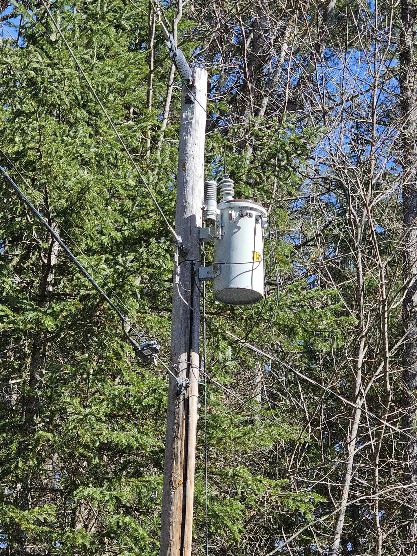 77 Spa Road Danbury NH 03230