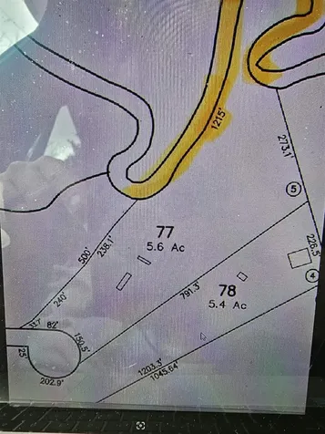 77 Spa Road Danbury NH 03230