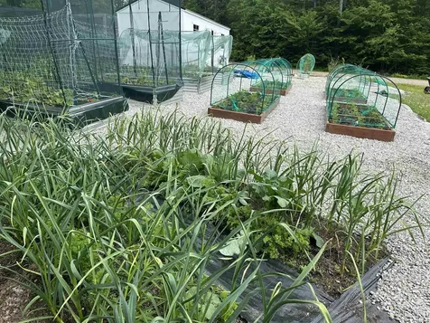 21 Avery Road Sunapee NH 03782