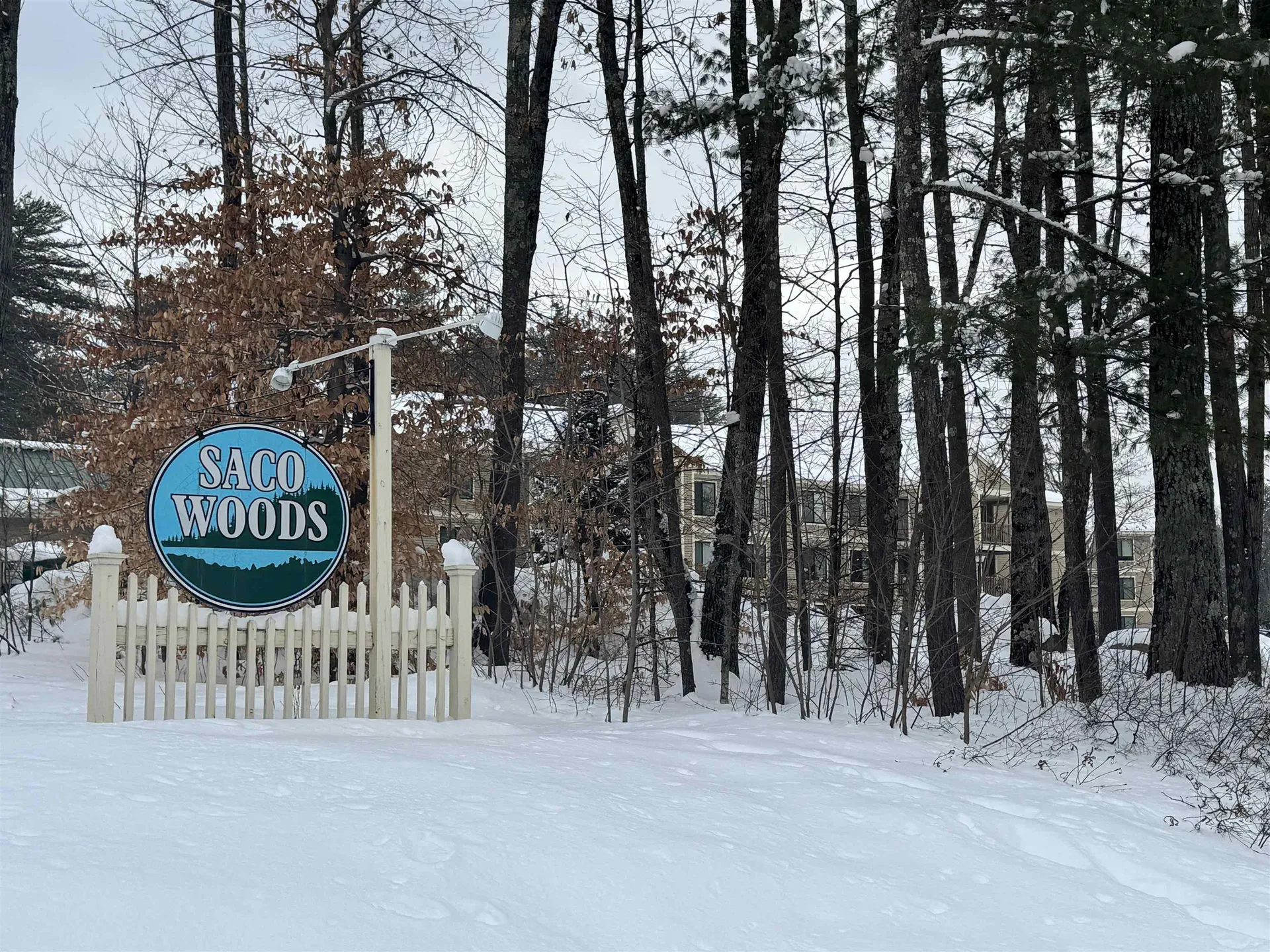 19 Saco Street Conway NH 03813