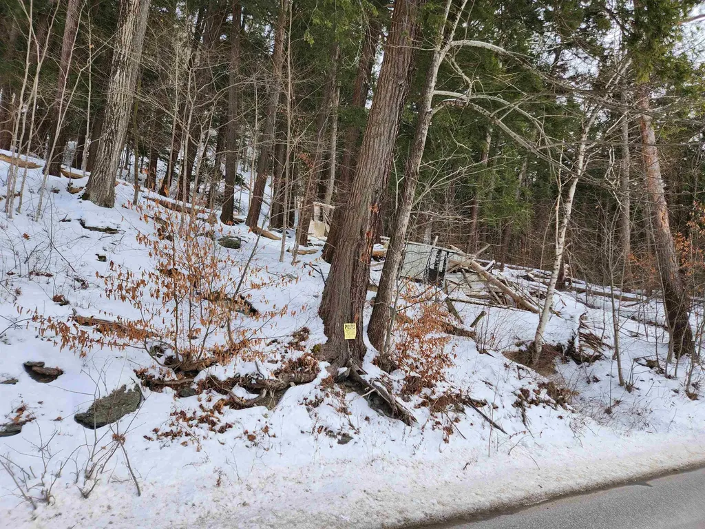 0 Vermont Route 30 Wells VT 05774