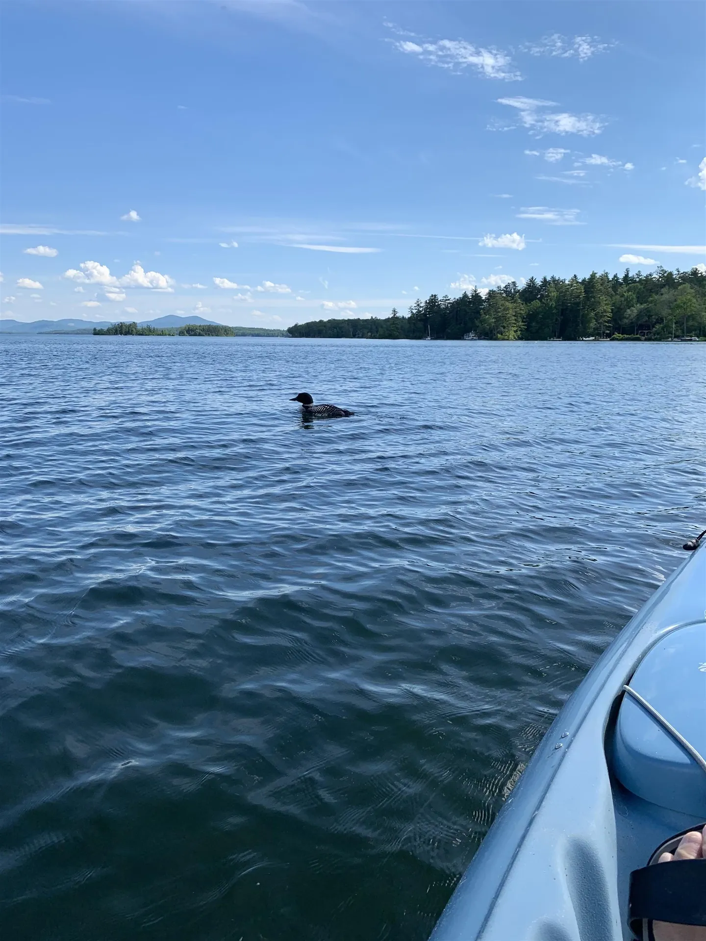 40 Boathouse Road Moultonborough NH 03254