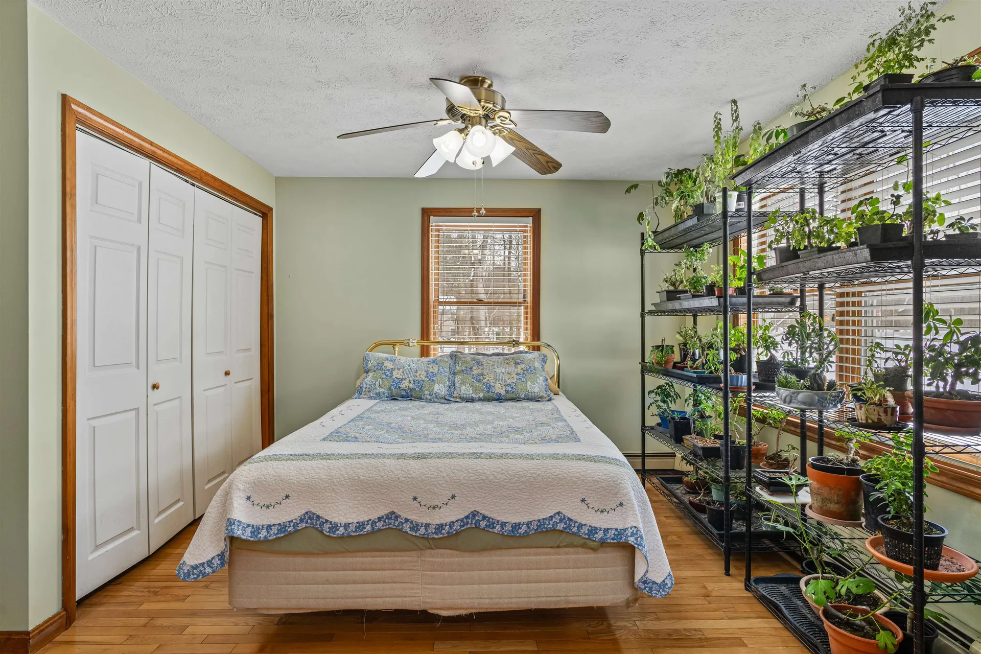 36 Church Street Barrington NH 03825