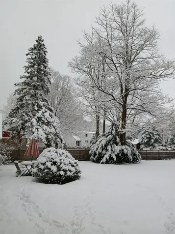 58 Arch Street Keene NH 03431