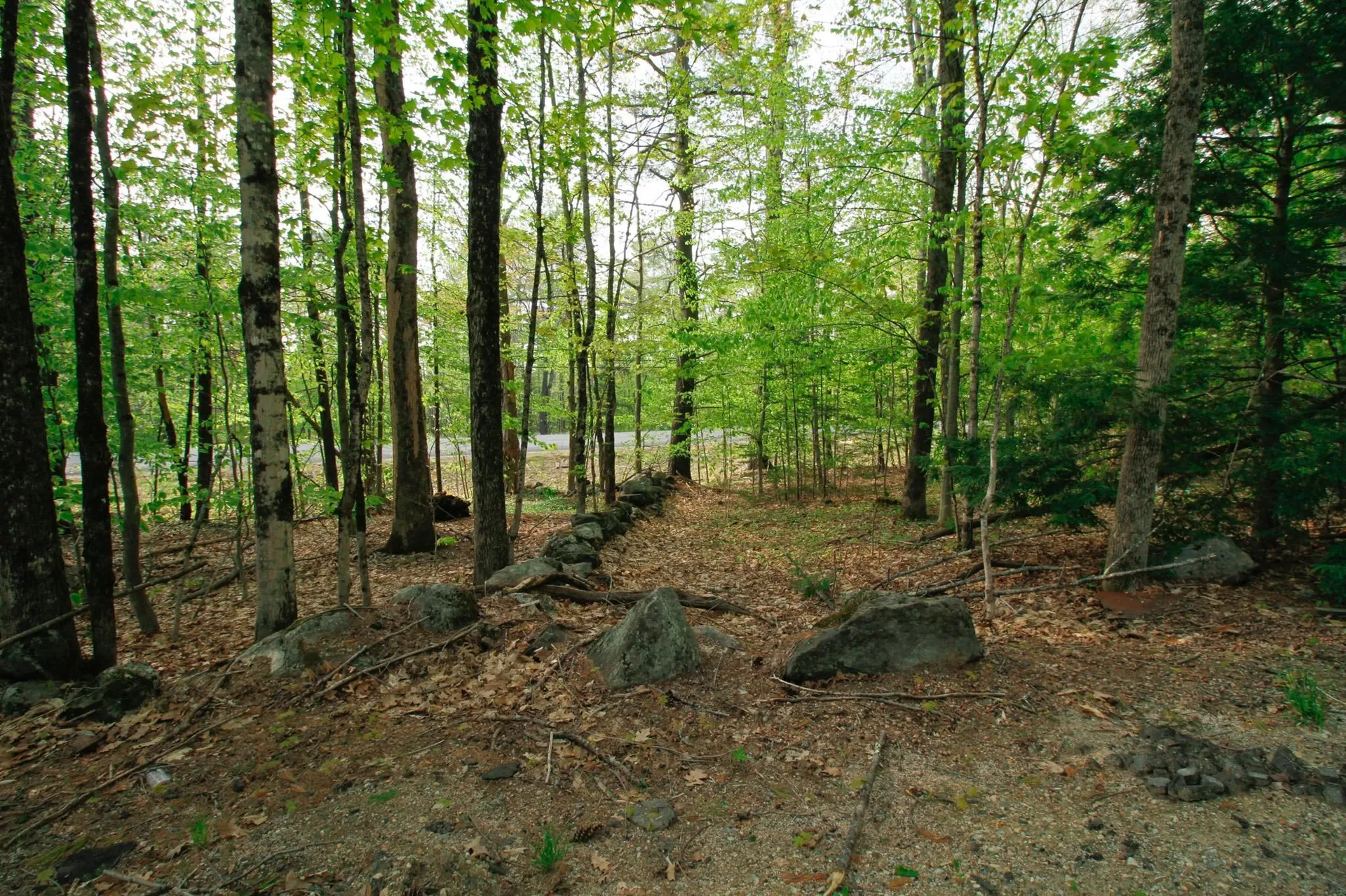 224 Lot 20 Elijah Beede Road Sandwich NH 03883