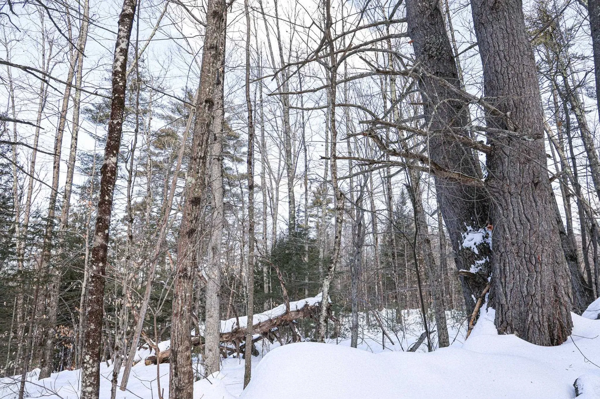 224 Lot 20 Elijah Beede Road Sandwich NH 03883