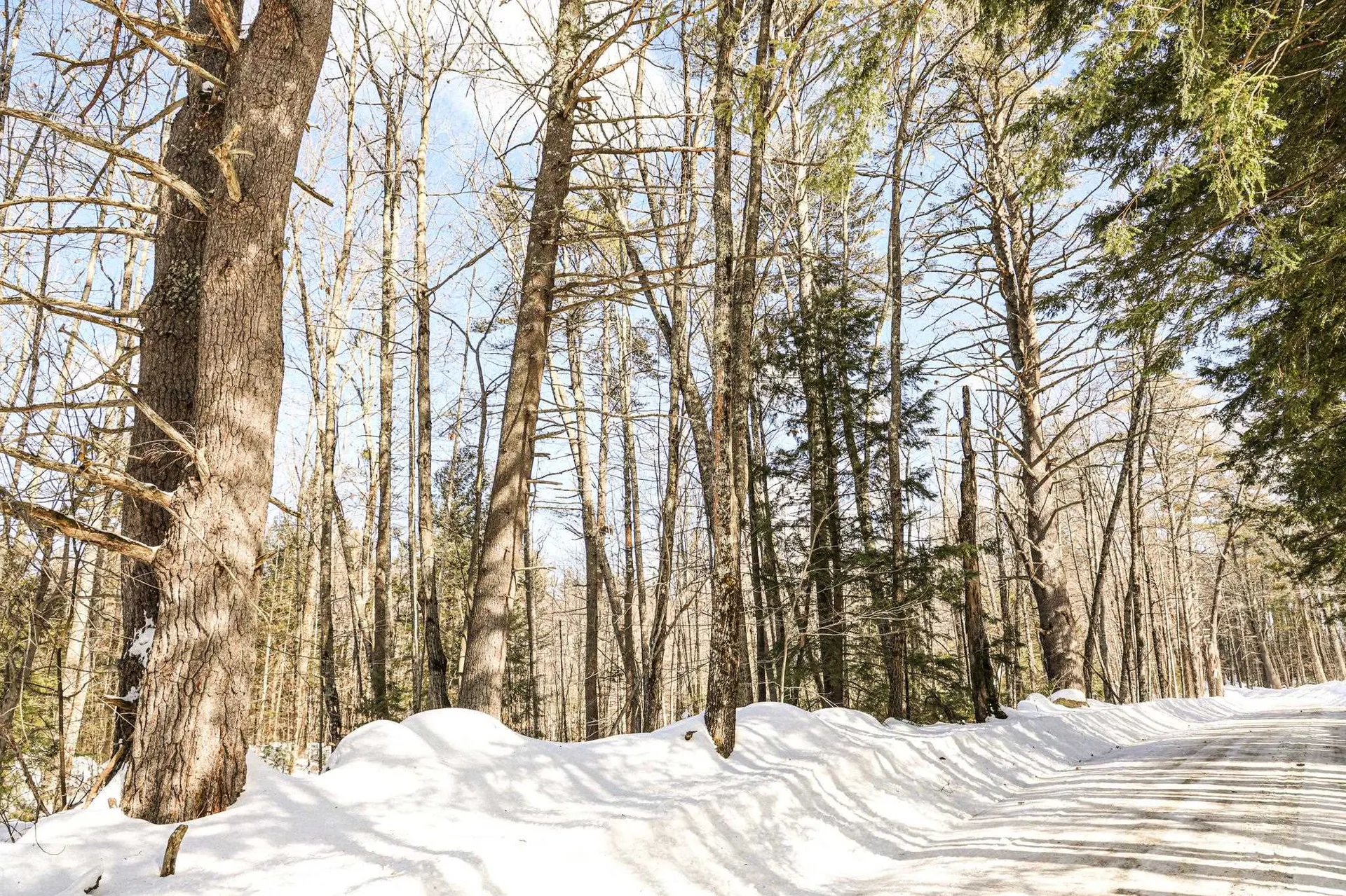 224 Lot 20 Elijah Beede Road Sandwich NH 03883