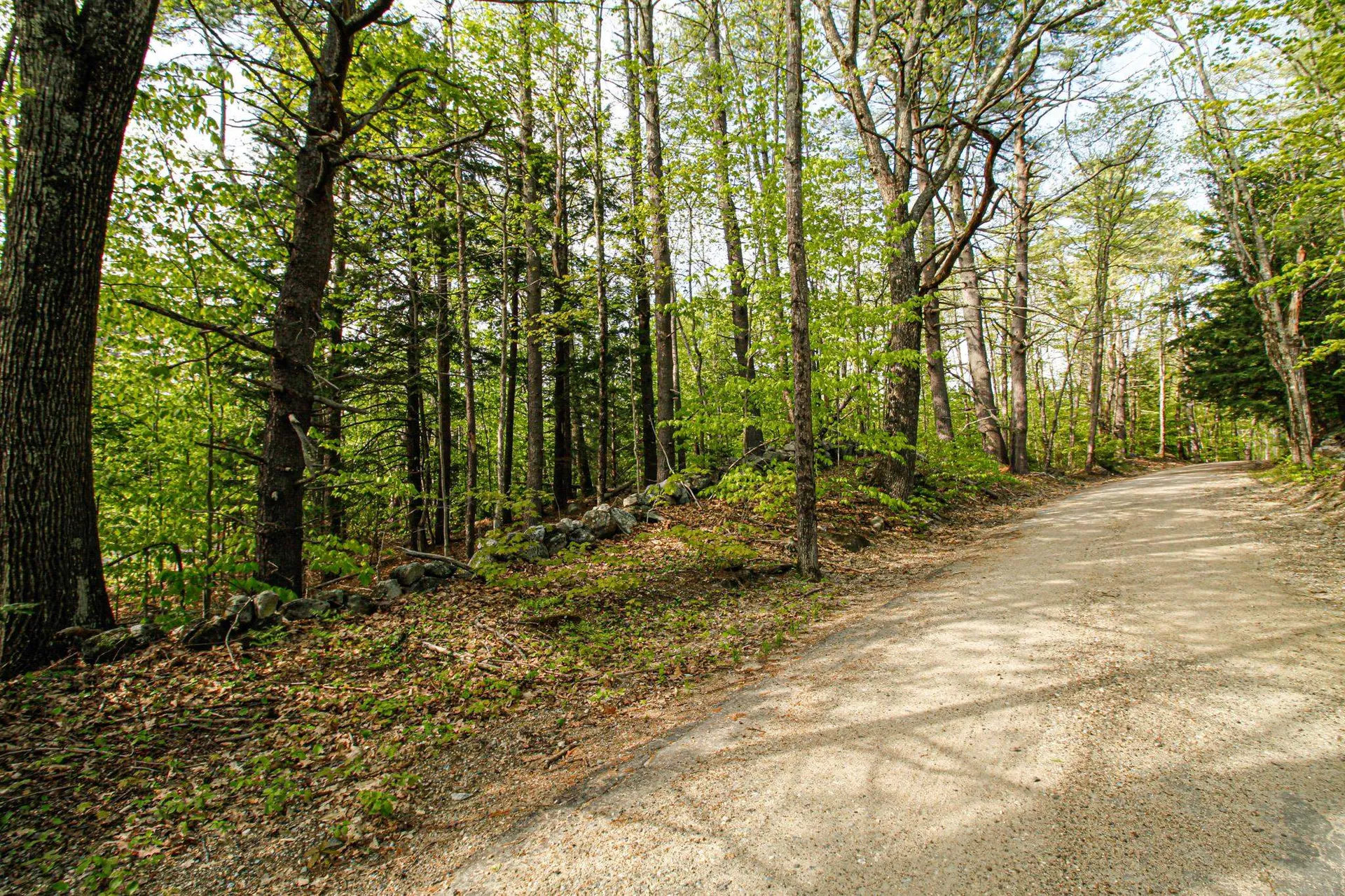 224 Lot 20 Elijah Beede Road Sandwich NH 03883