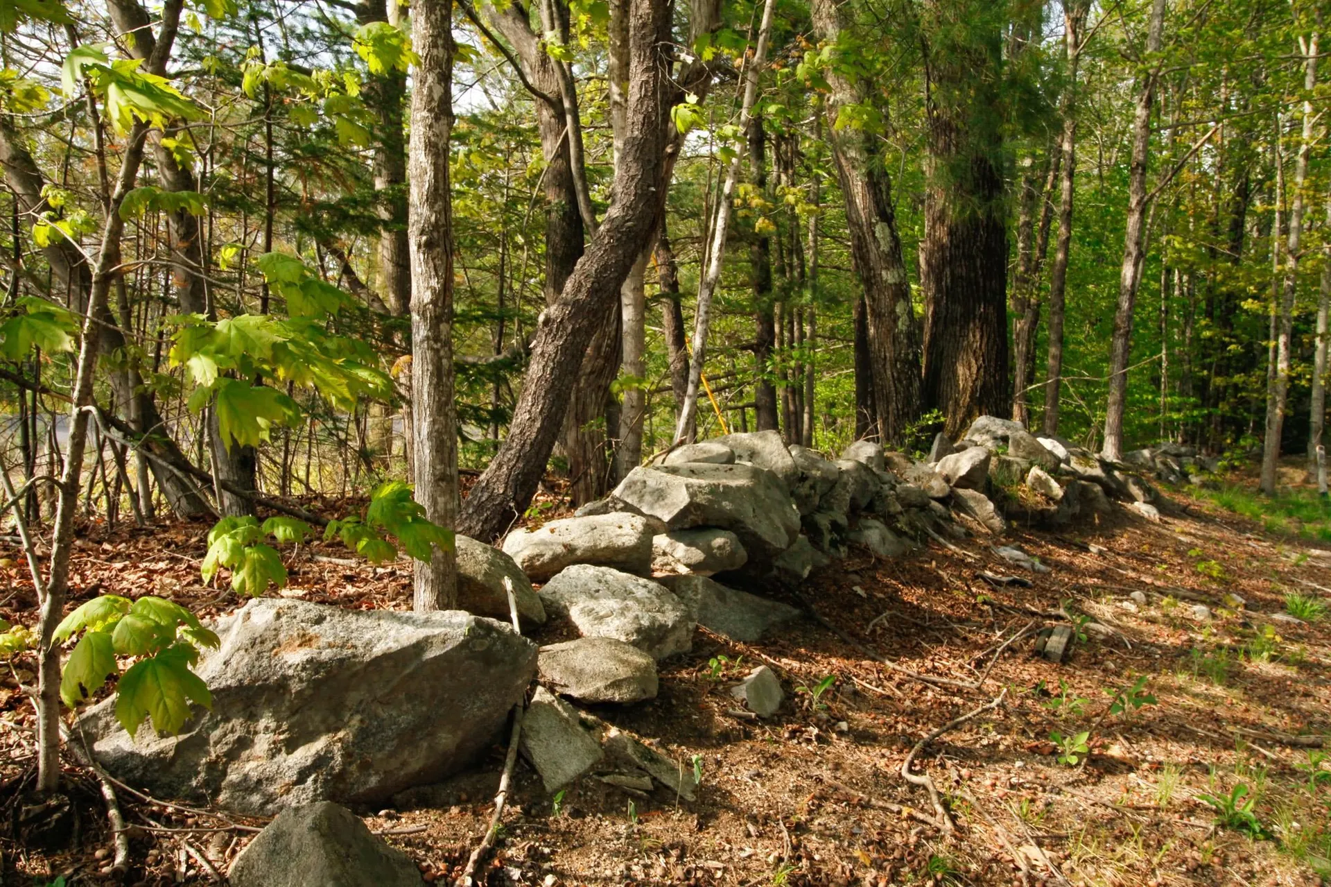 224 Lot 20 Elijah Beede Road Sandwich NH 03883