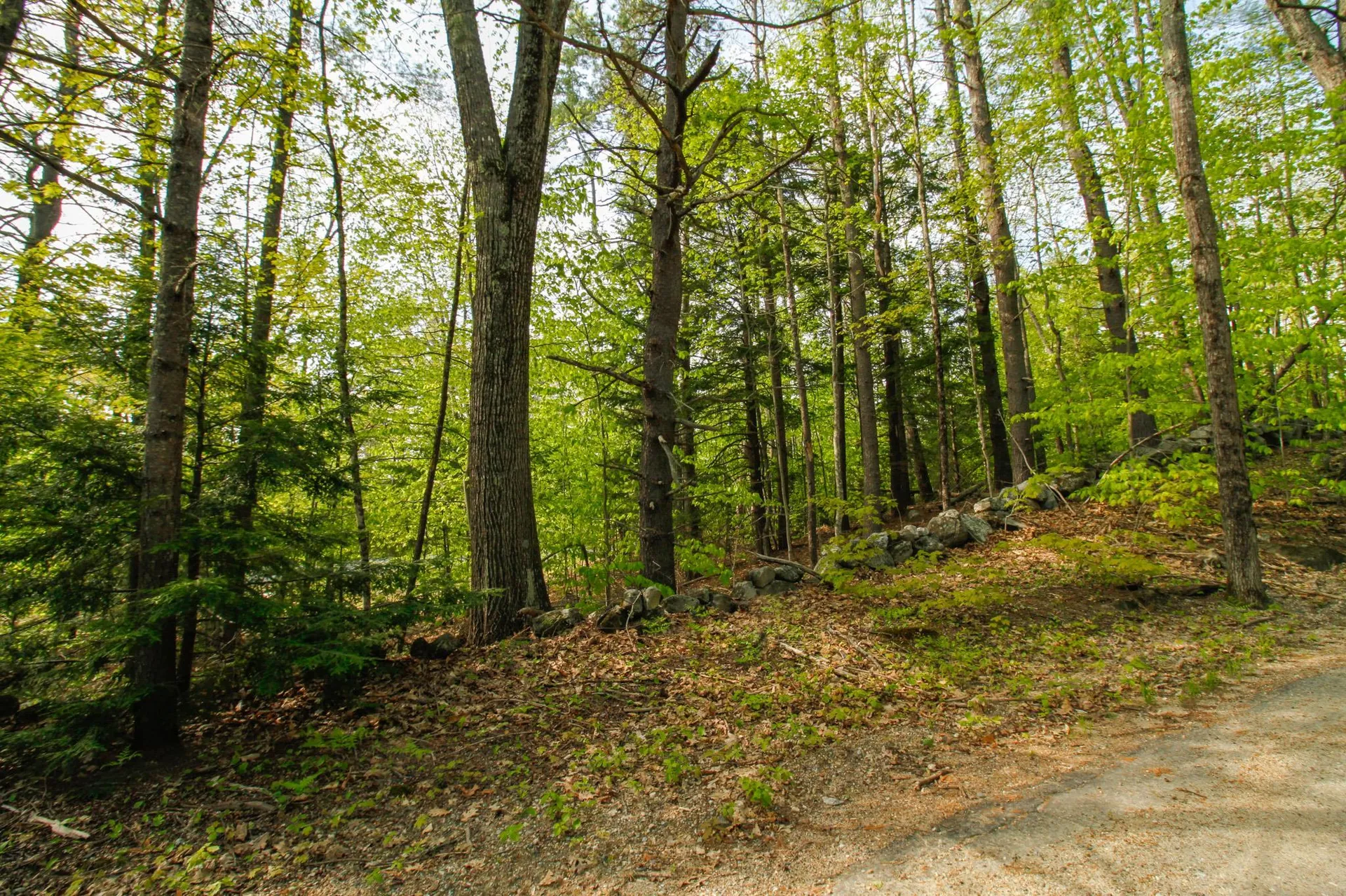 224 Lot 20 Elijah Beede Road Sandwich NH 03883