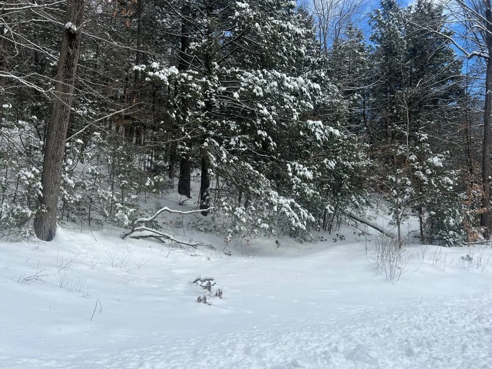 00 Chesterfield Road Hinsdale NH 03451