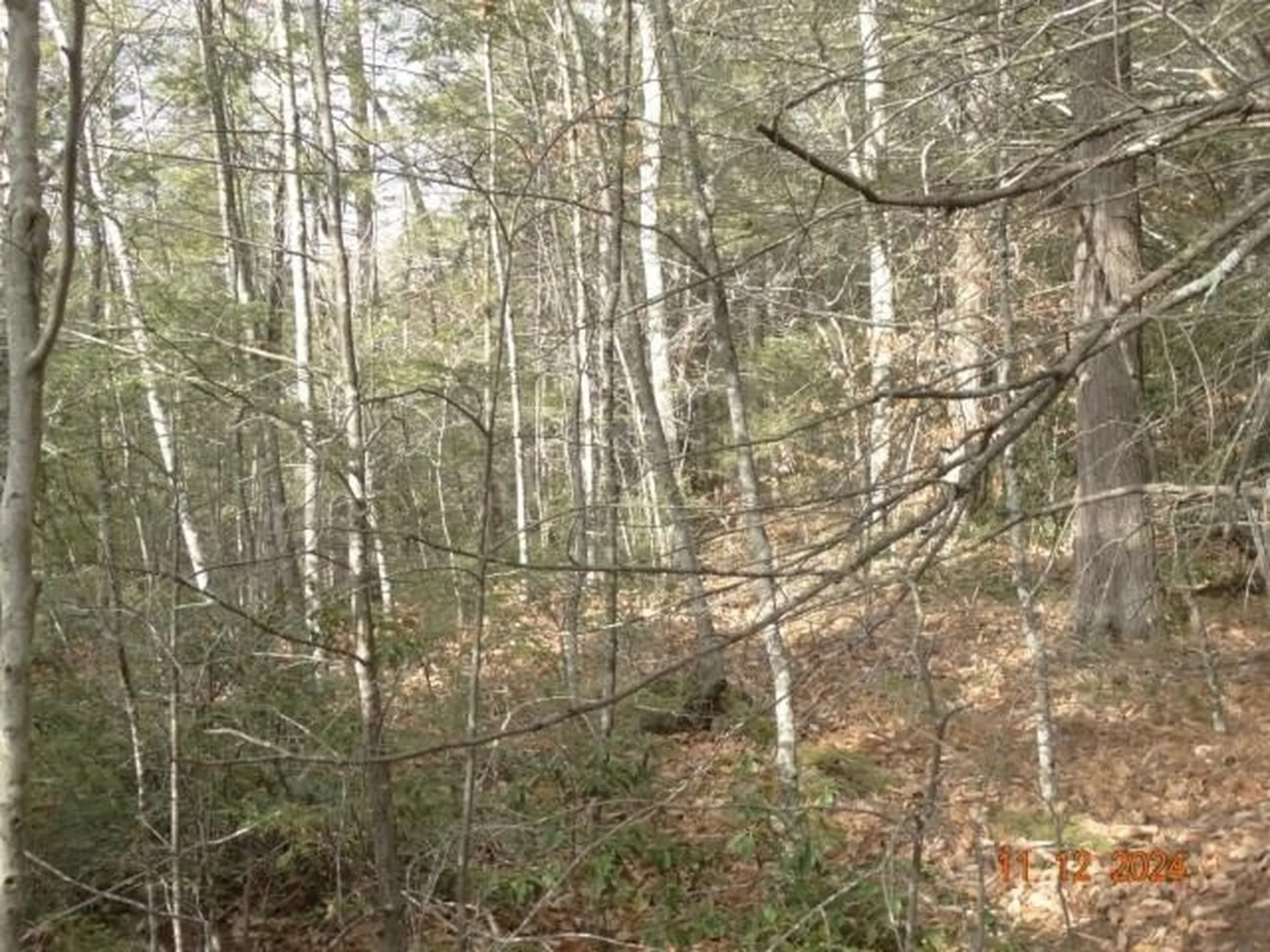 00 Chesterfield Road Hinsdale NH 03451