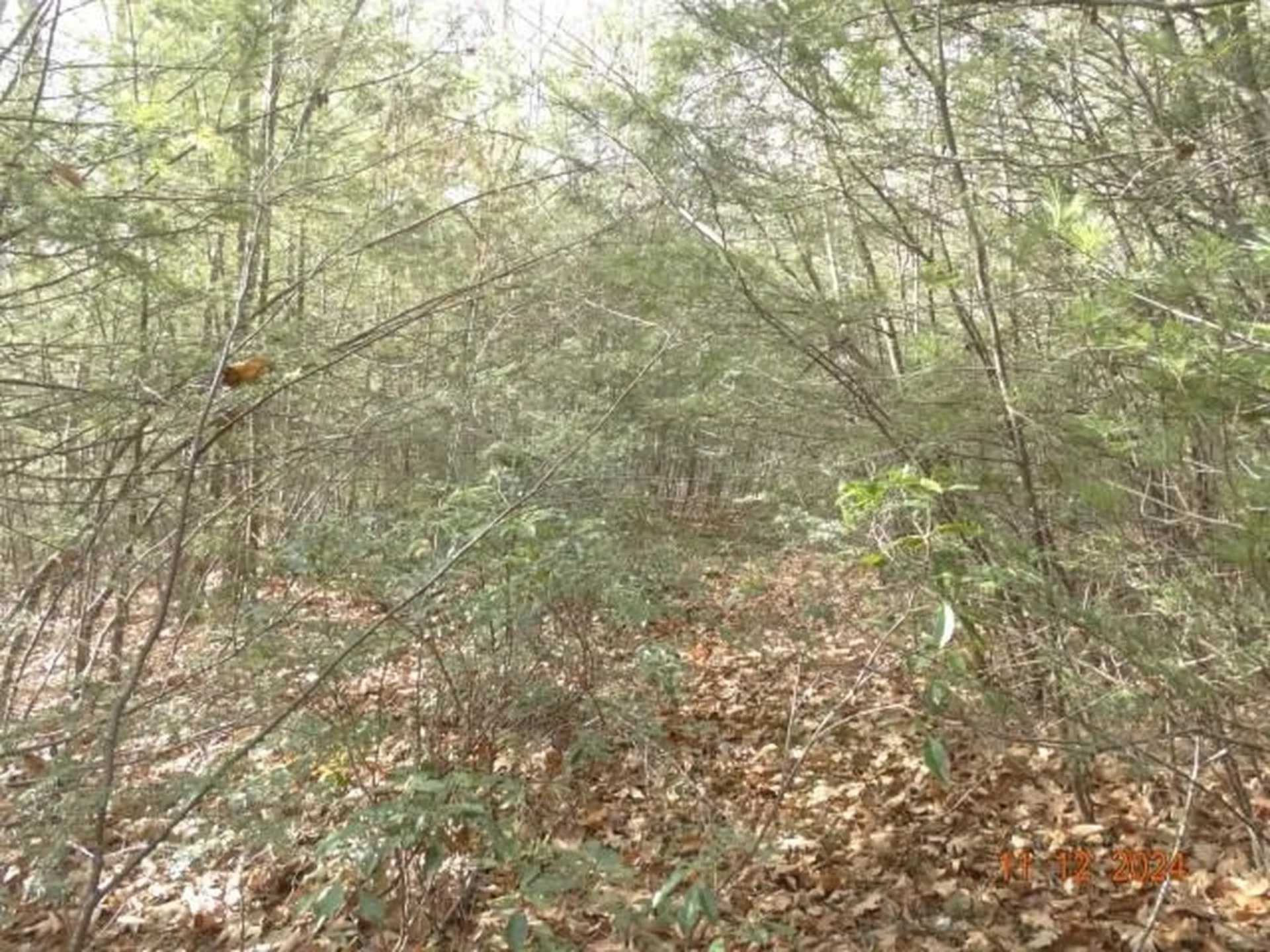 00 Chesterfield Road Hinsdale NH 03451