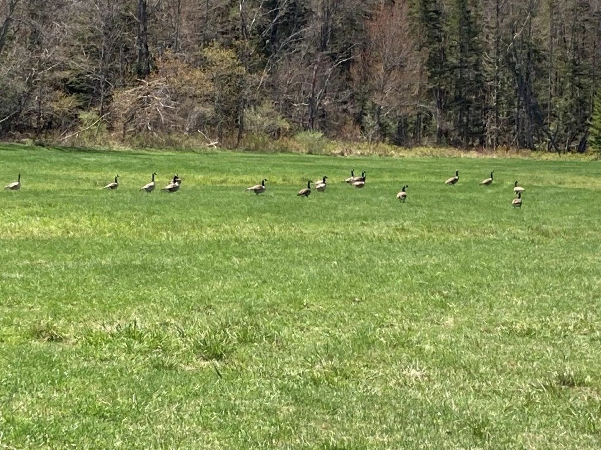 0 Us Route 4 Canaan NH 03741