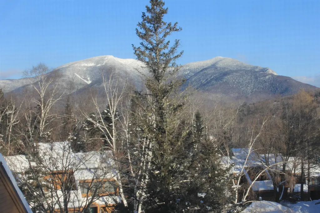 26 Hillside Way Waterville Valley NH 03215
